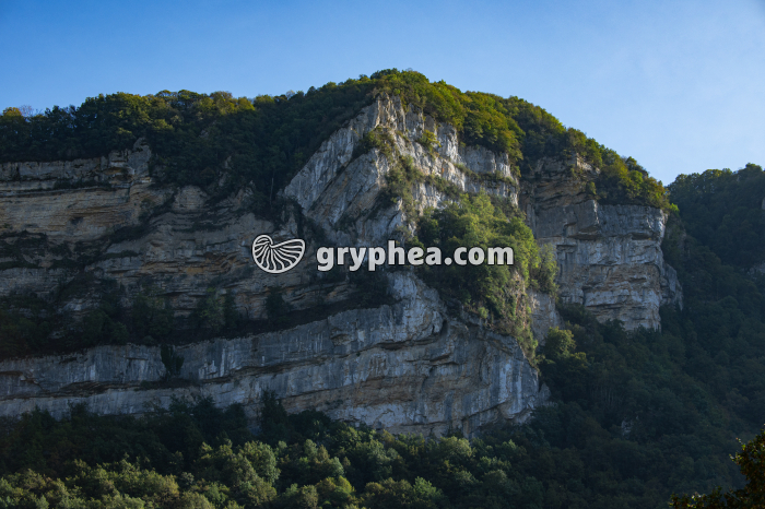 Pli faillé (Jura) - gryphea.com